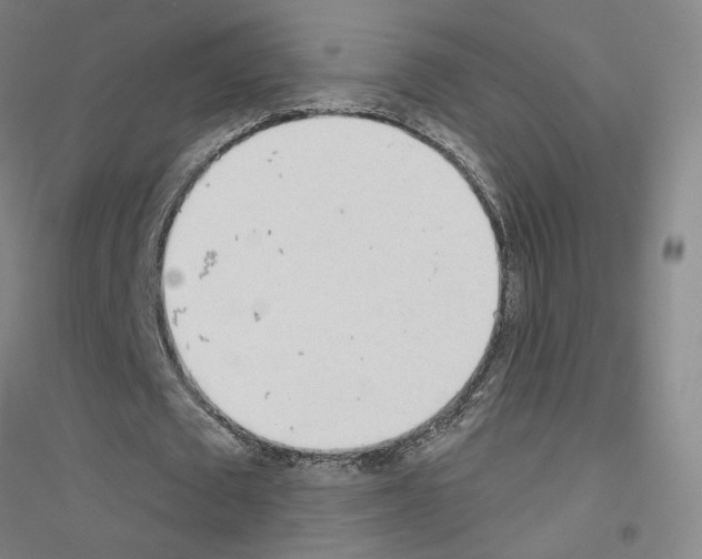 X0000116810673201001291602