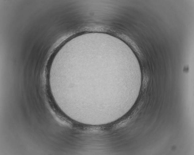 X0000116810674201001291602