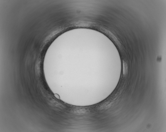 X0000116810675201001291602