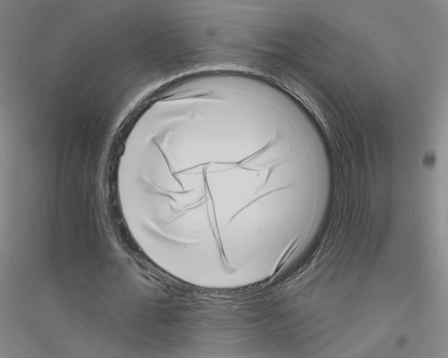 X0000116810676201001291602