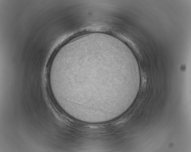 X0000116810678201001291602