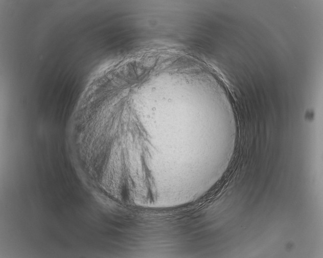 X0000116810679201001291602
