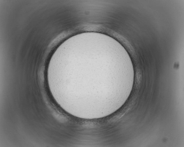X0000116810682201001291602
