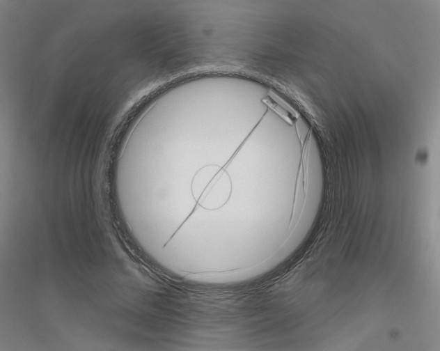 X0000116810684201001291602