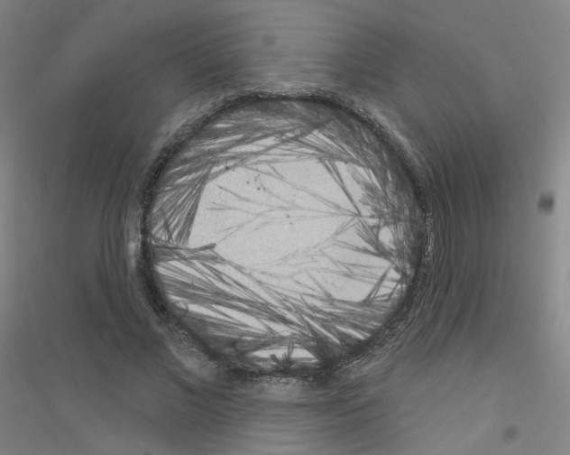 X0000116810685201001291602