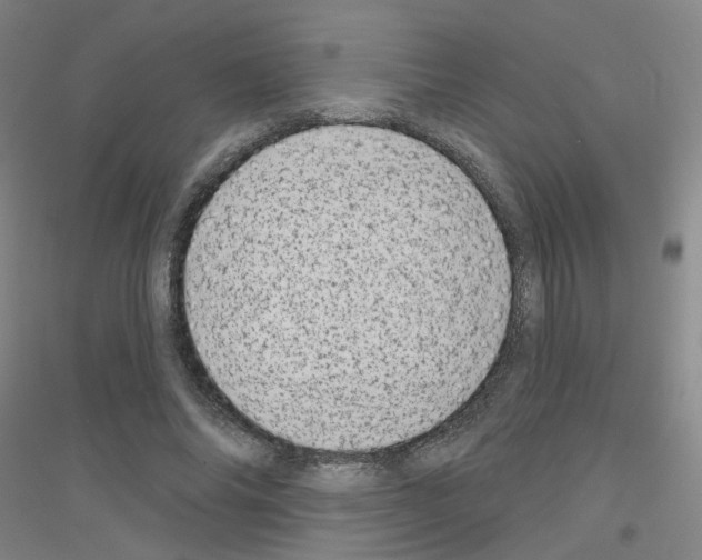 X0000116810686201001291601