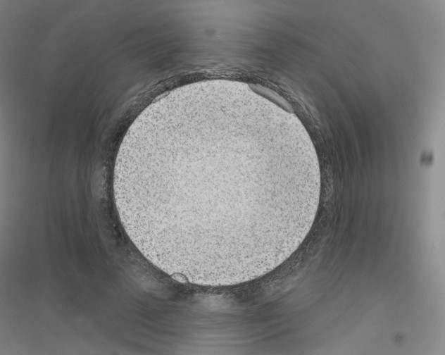 X0000116810689201001291601