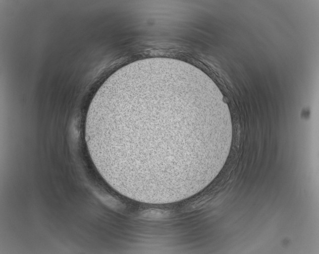 X0000116810691201001291601