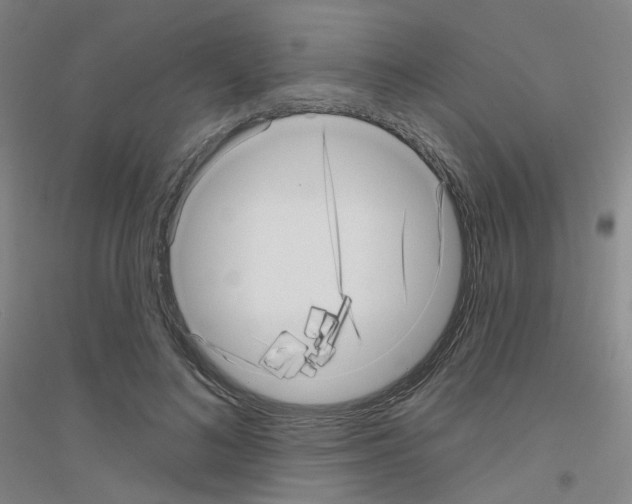 X0000116810692201001291601