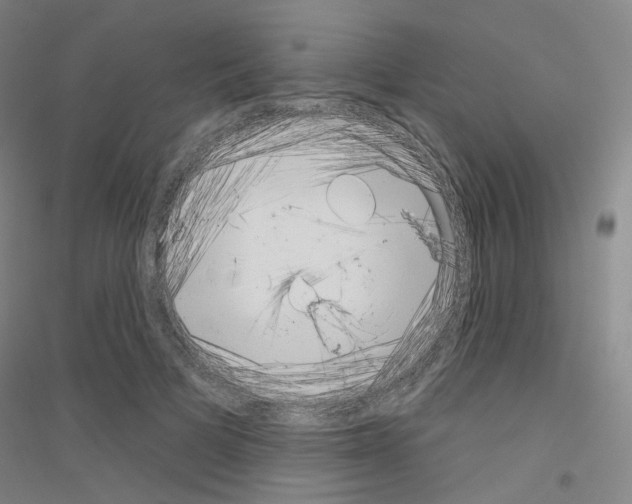 X0000116810697201001291601