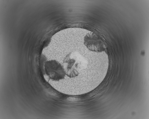 X0000116810699201001291601