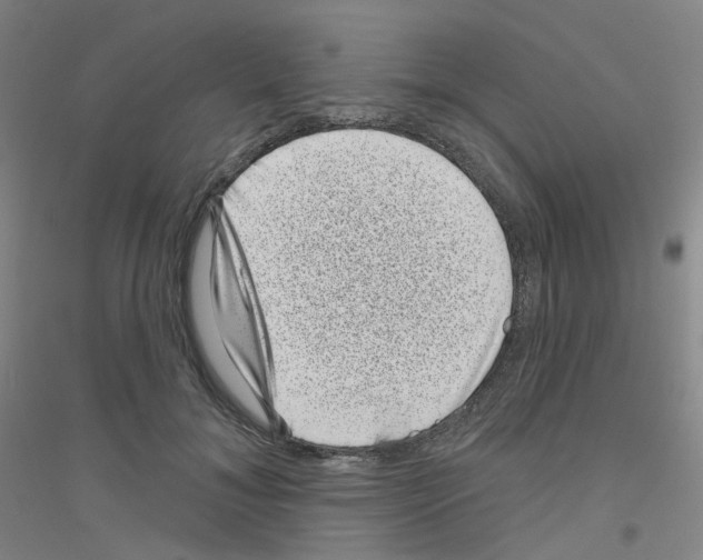 X0000116810700201001291601