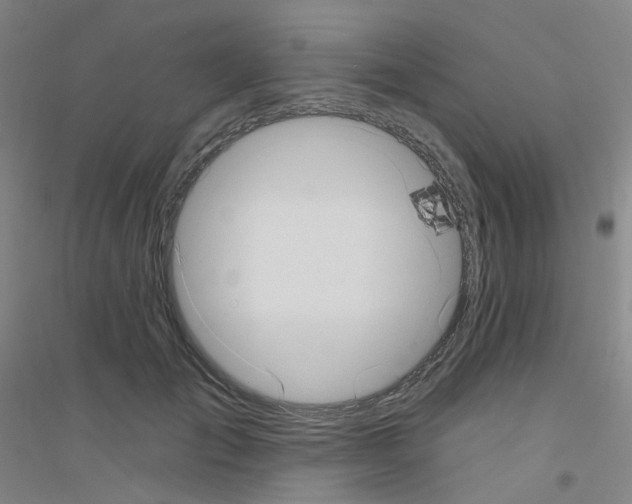 X0000116810701201001291601