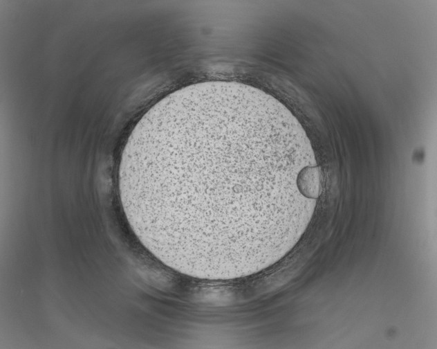 X0000116810702201001291601