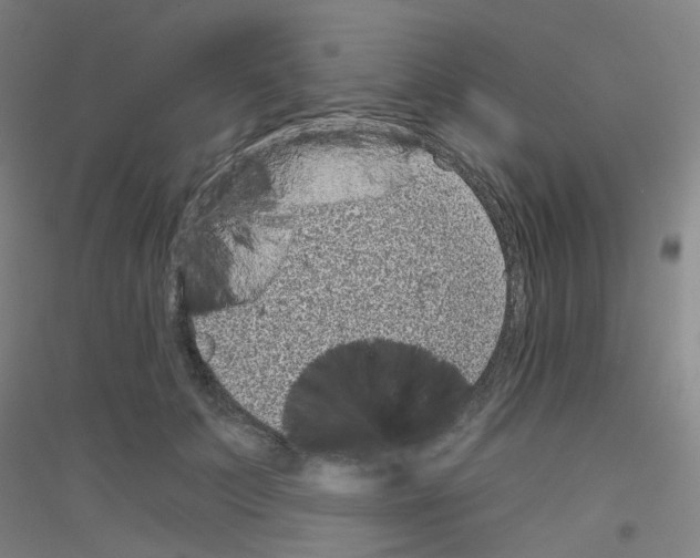 X0000116810703201001291601