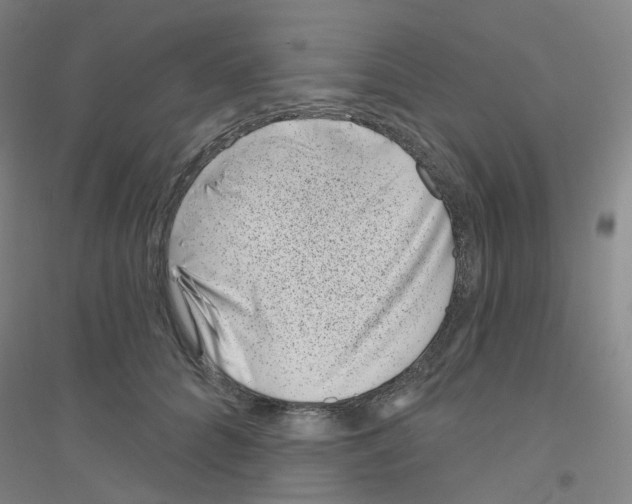 X0000116810704201001291601