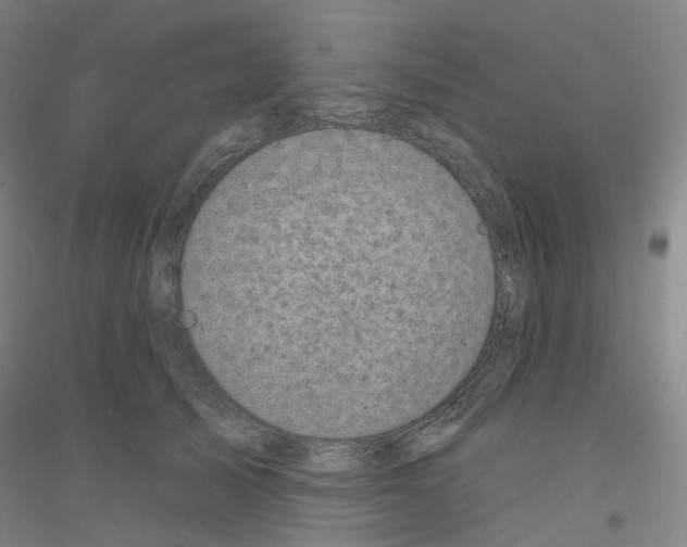 X0000116810705201001291601