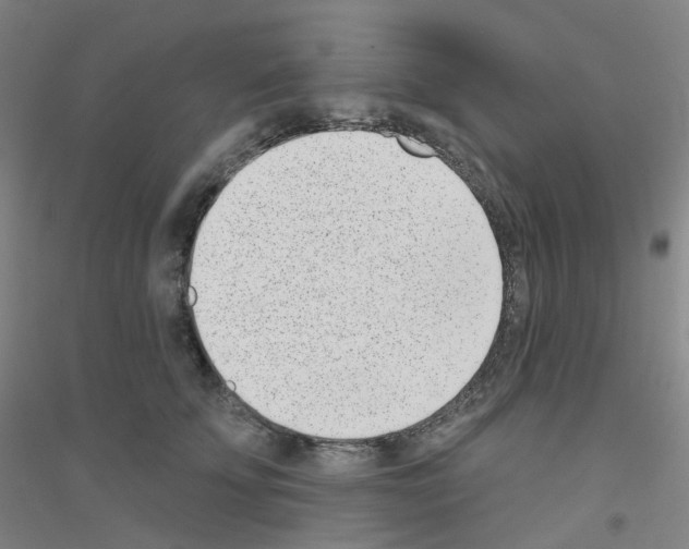 X0000116810707201001291601