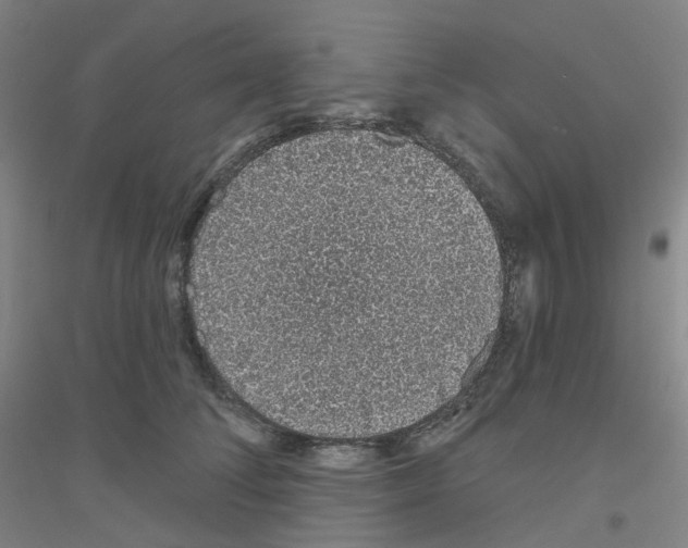 X0000116810708201001291601