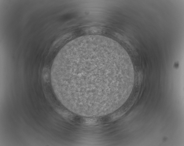 X0000116810709201001291601