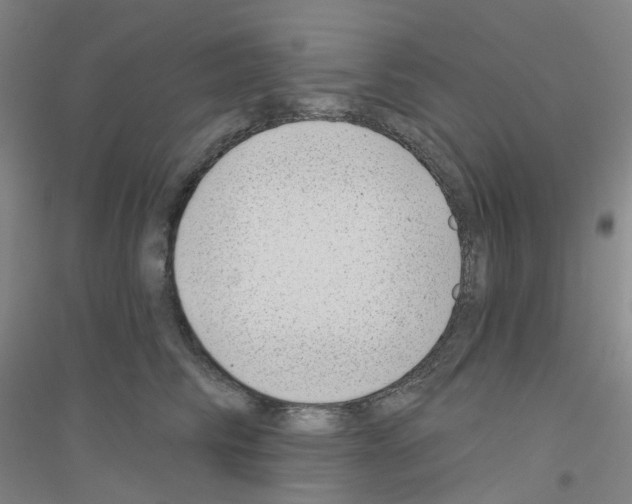 X0000116810710201001291601