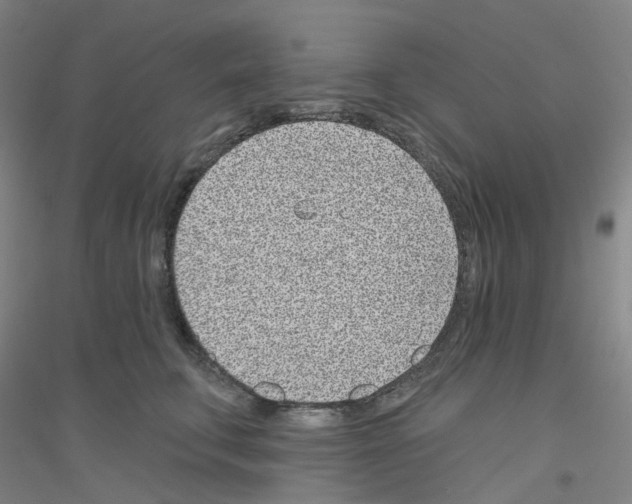 X0000116810711201001291601
