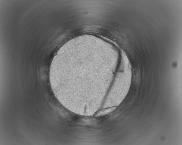 X0000116810712201001291601