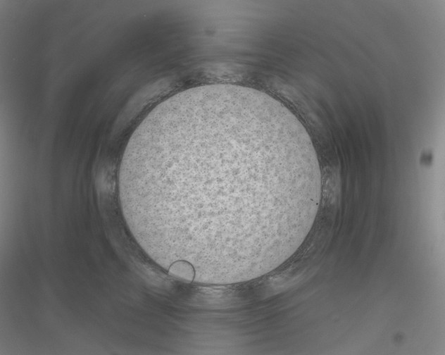 X0000116810713201001291601