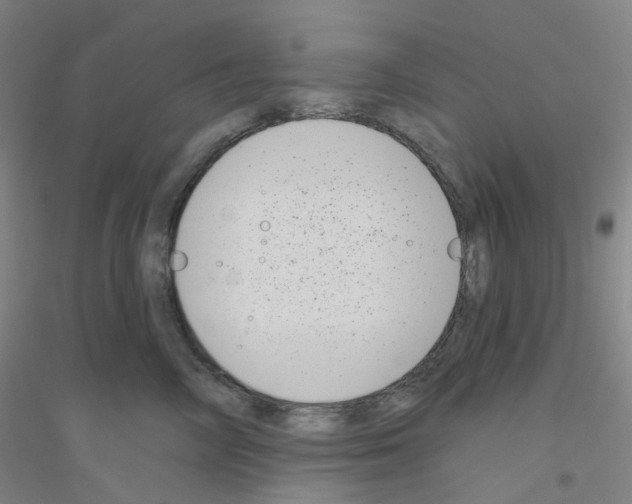 X0000116810714201001291601
