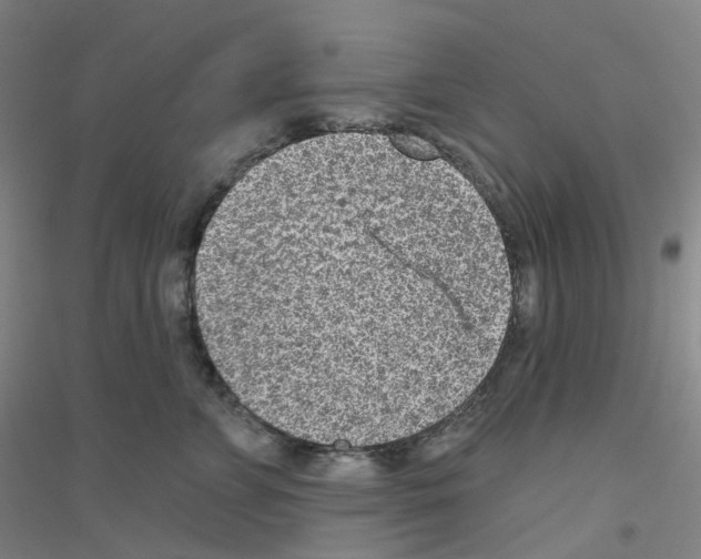 X0000116810715201001291601