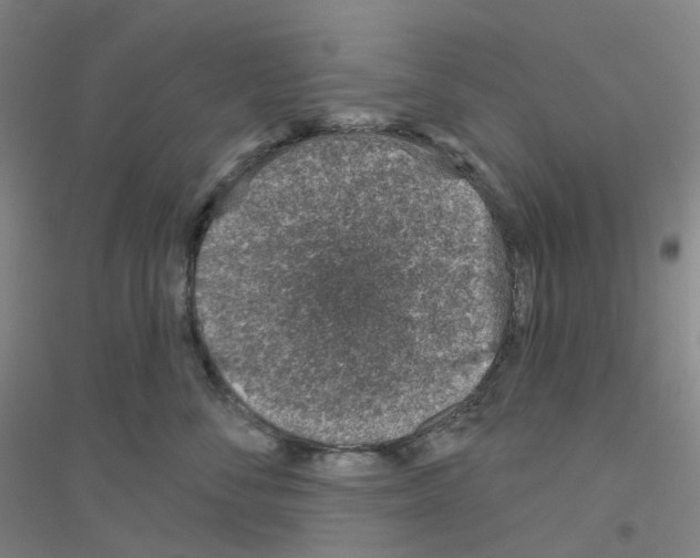 X0000116810716201001291601
