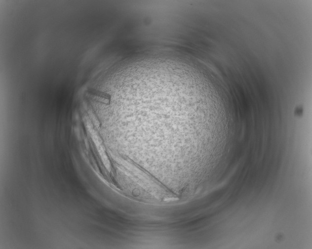 X0000116810717201001291601