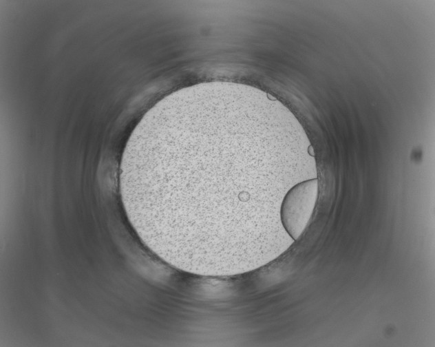 X0000116810718201001291601
