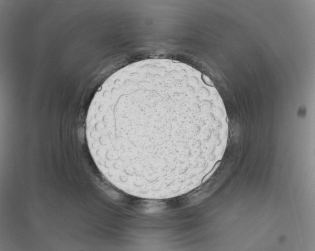X0000116810719201001291601
