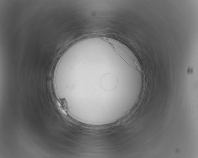 X0000116810720201001291601