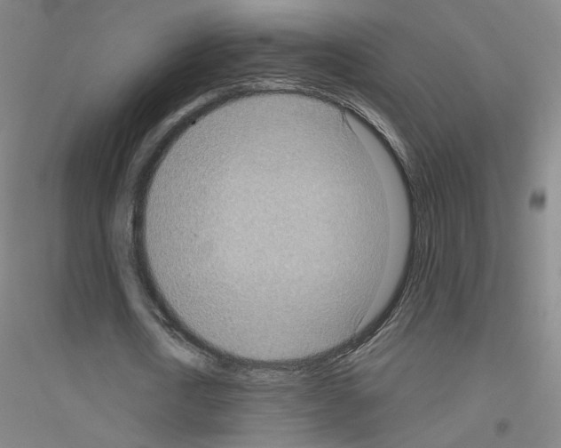 X0000116810722201001291600