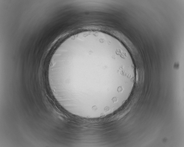 X0000116810723201001291600