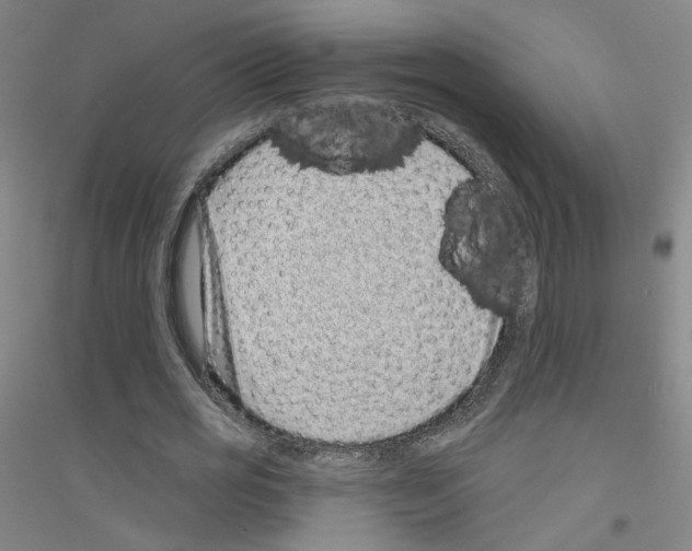 X0000116810725201001291600