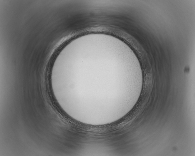 X0000116810727201001291600