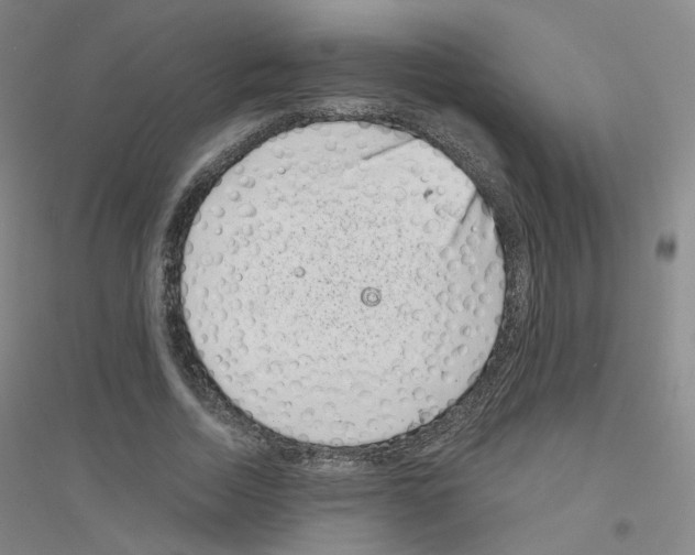 X0000116810730201001291600