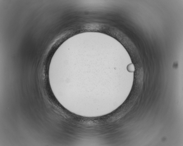 X0000116810731201001291601