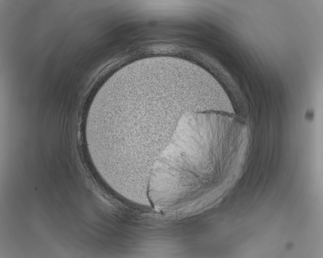 X0000116810733201001291601