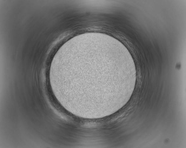 X0000116810734201001291601