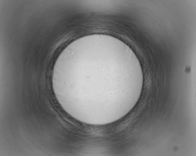 X0000116810735201001291601