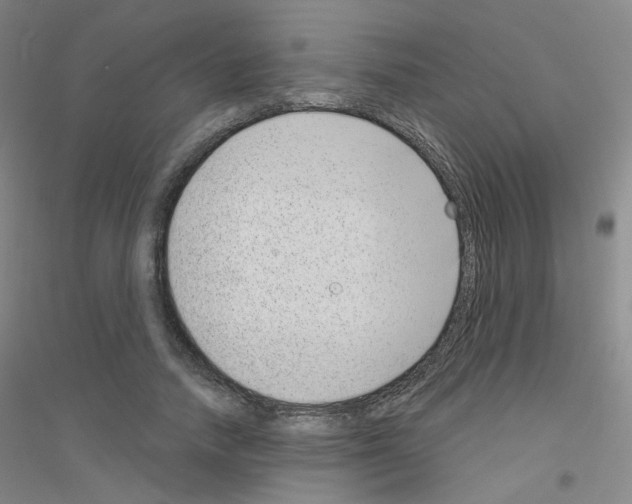 X0000116810738201001291601