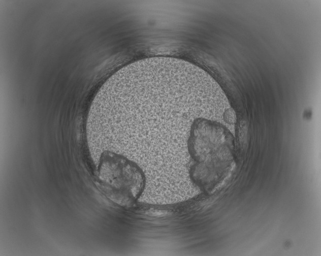 X0000116810741201001291601