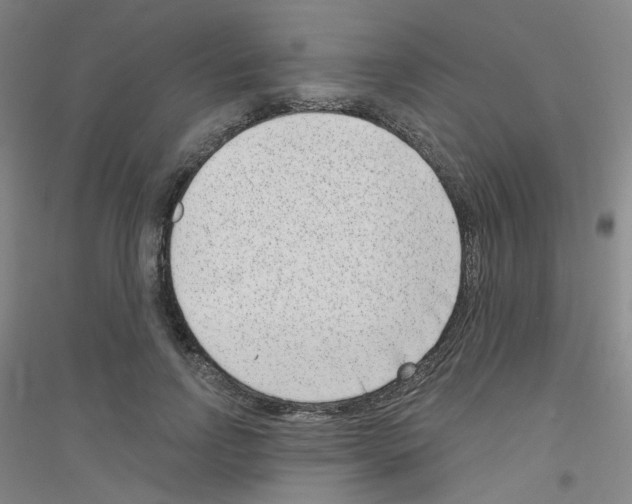 X0000116810742201001291601