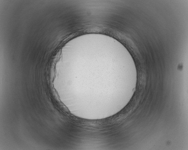 X0000116810743201001291601