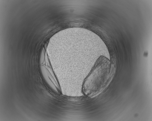 X0000116810745201001291601