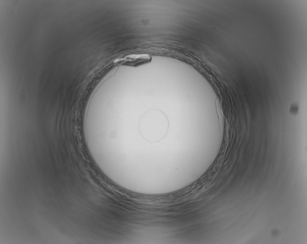 X0000116810747201001291601
